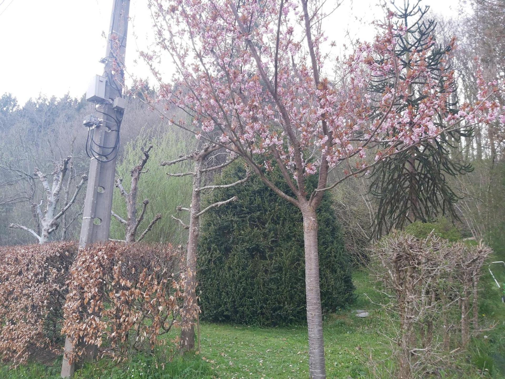 Vakantiehuis Ardennen les Forges, Chevron