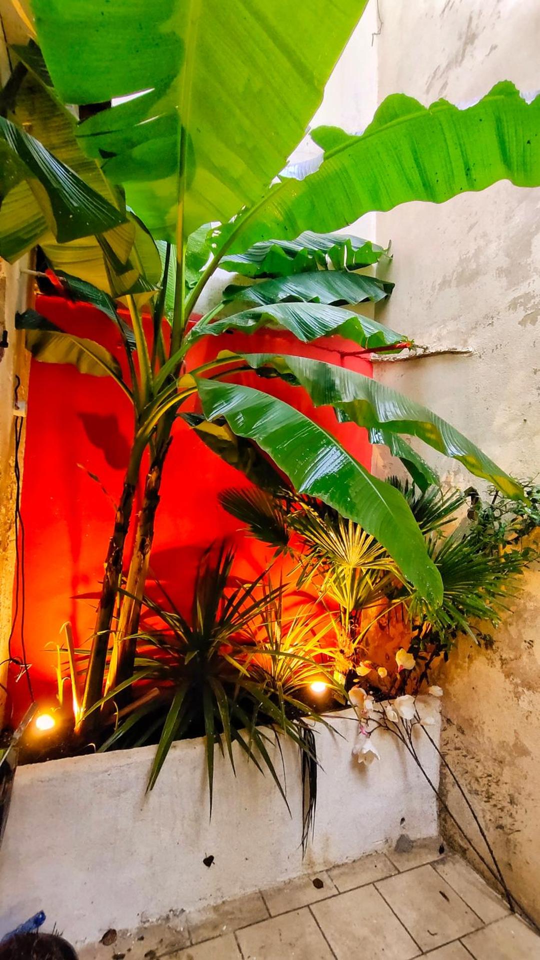 Votre Escale Jungle Sauna & Spa