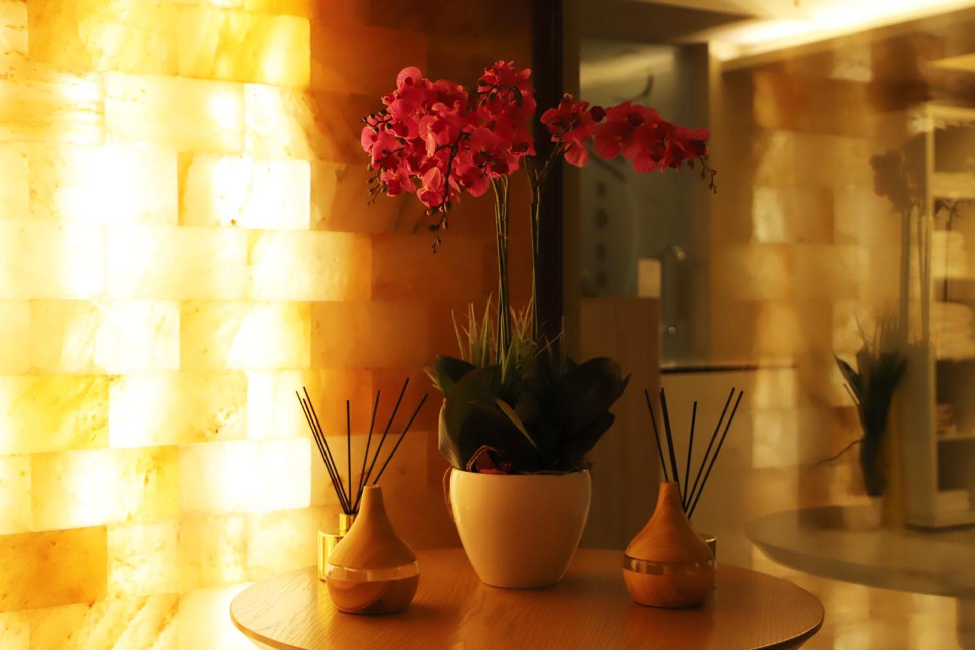 Spa and wellness centre/facilities