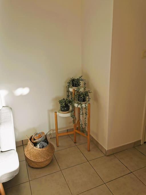 Casteljaloux Appartement 2 chambres balcon parking résidence calme