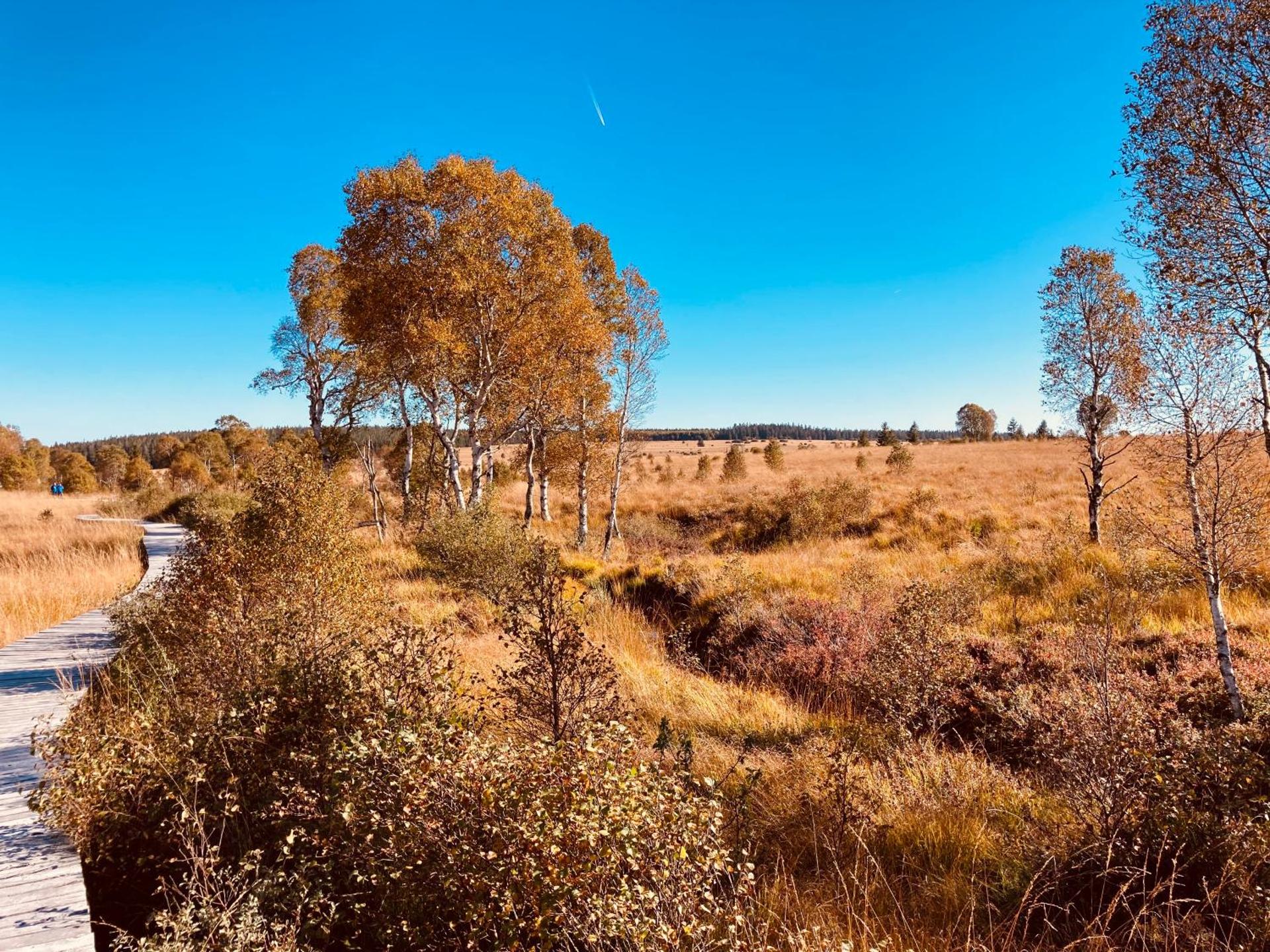 Terrasses de Malmedy Chalet l'undeuxtrois