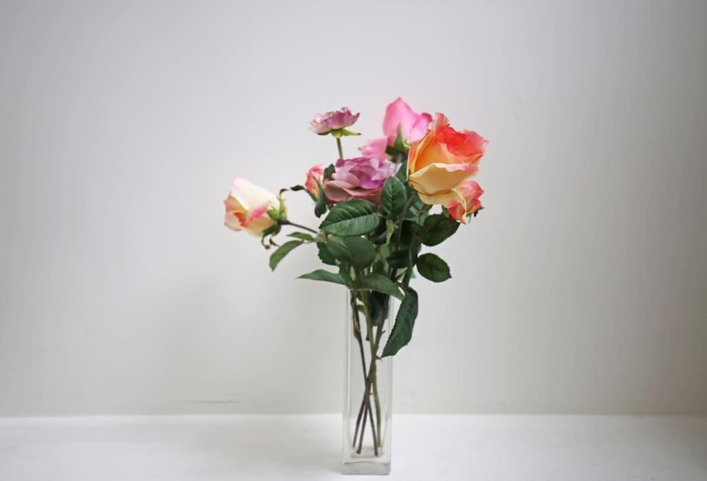 Appartementen Purmerend B