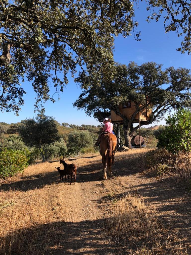 Corvatos Casas do Monte