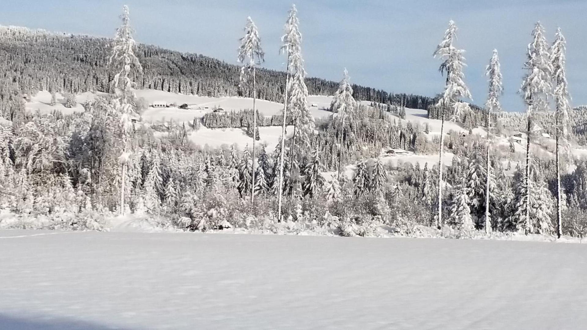 Ferienwohnung Stampfer