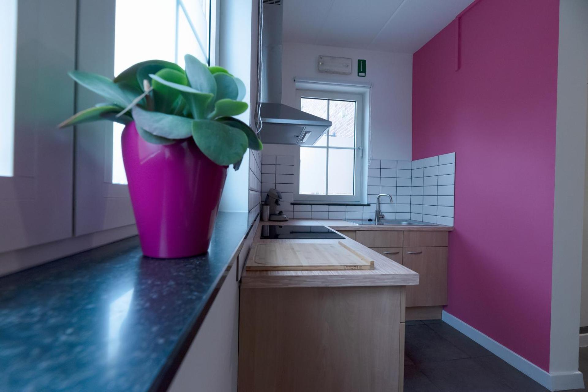 Vakantiewoningen Pomona