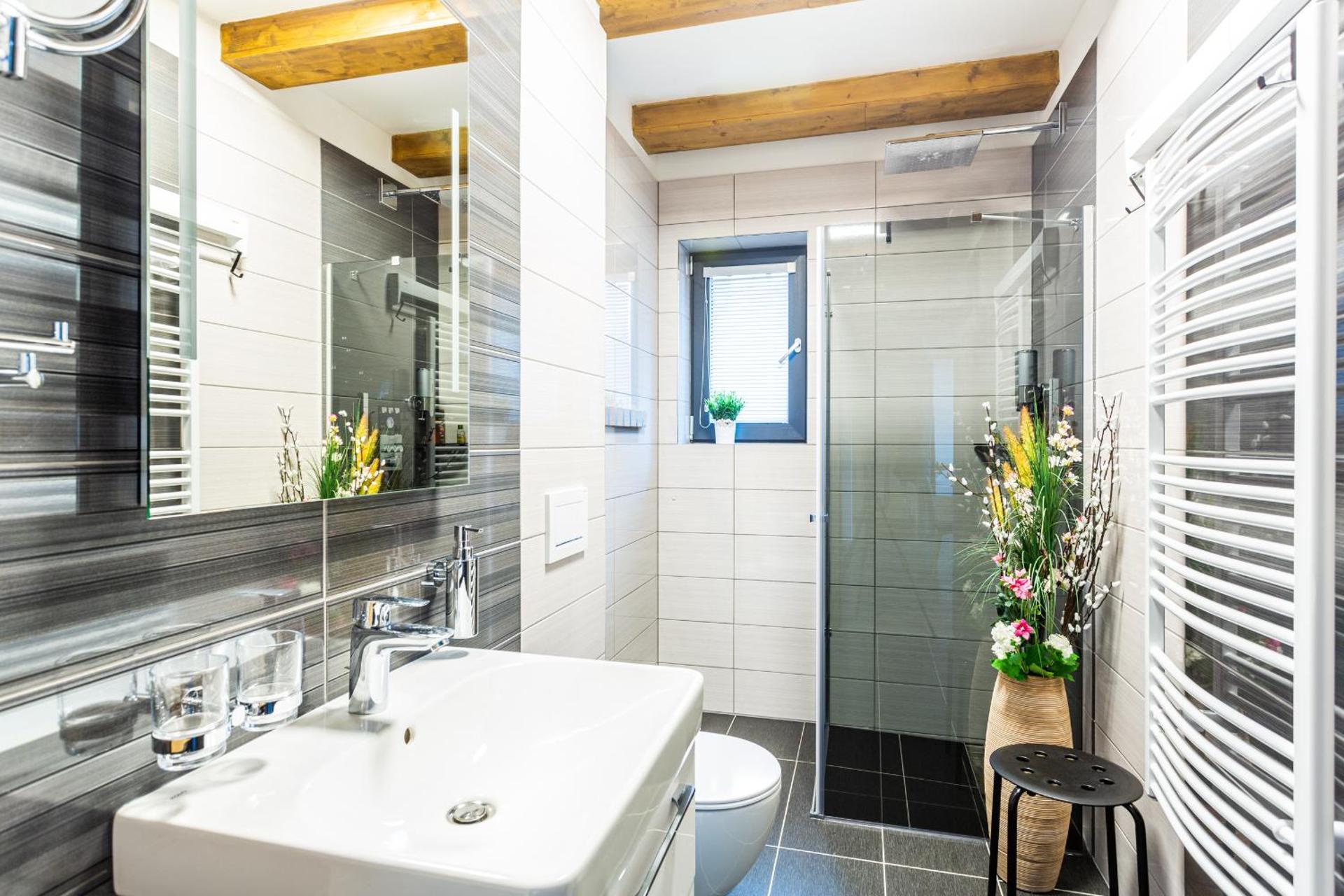 Ski Chalet Klínovec