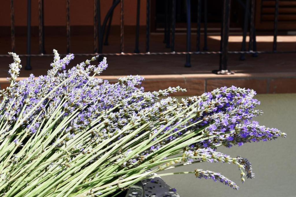 Deluxe Apartment Nono- Anex building