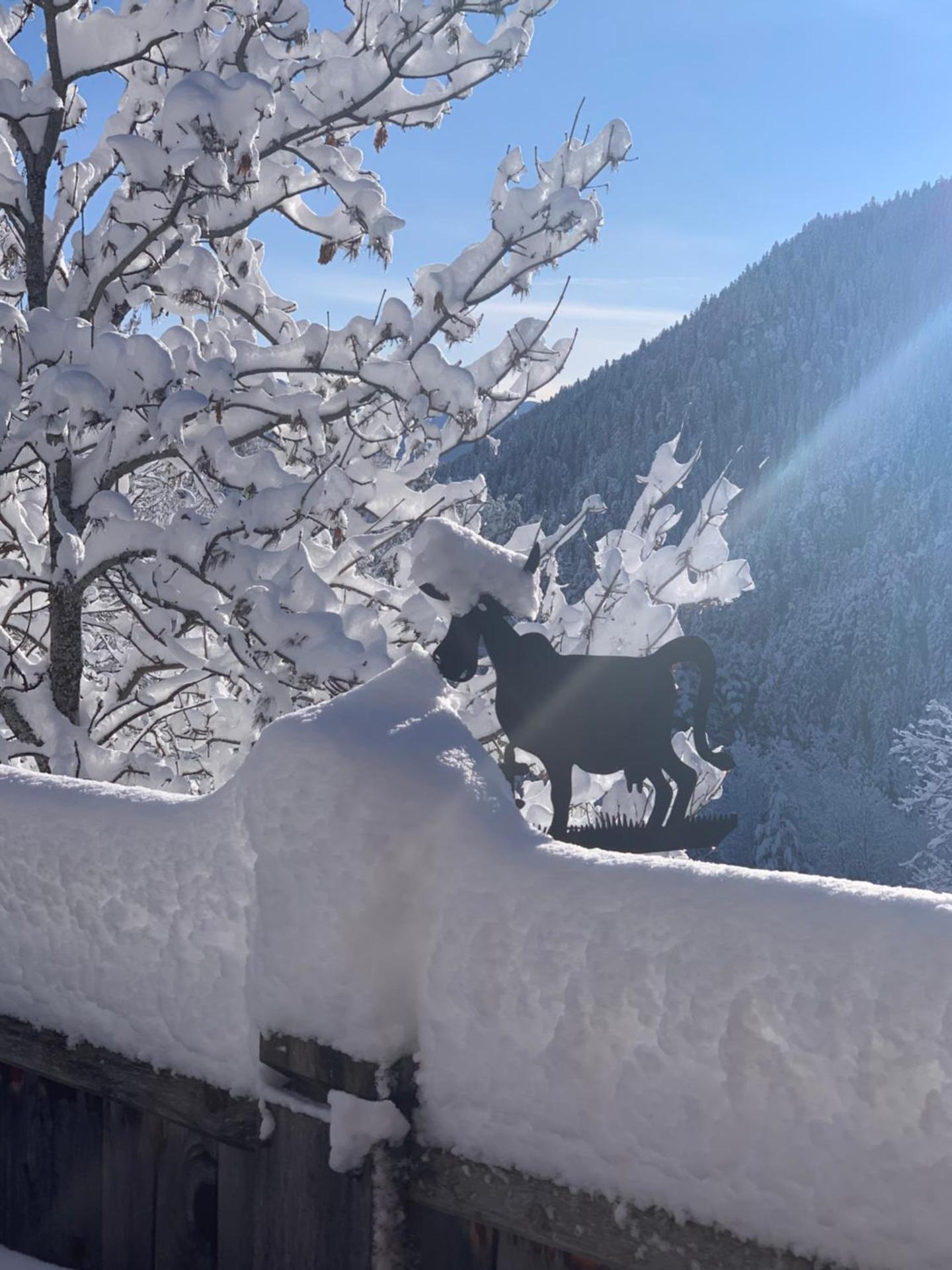 Chez Fred et Carine (Petit-déjeuner bio inclus)