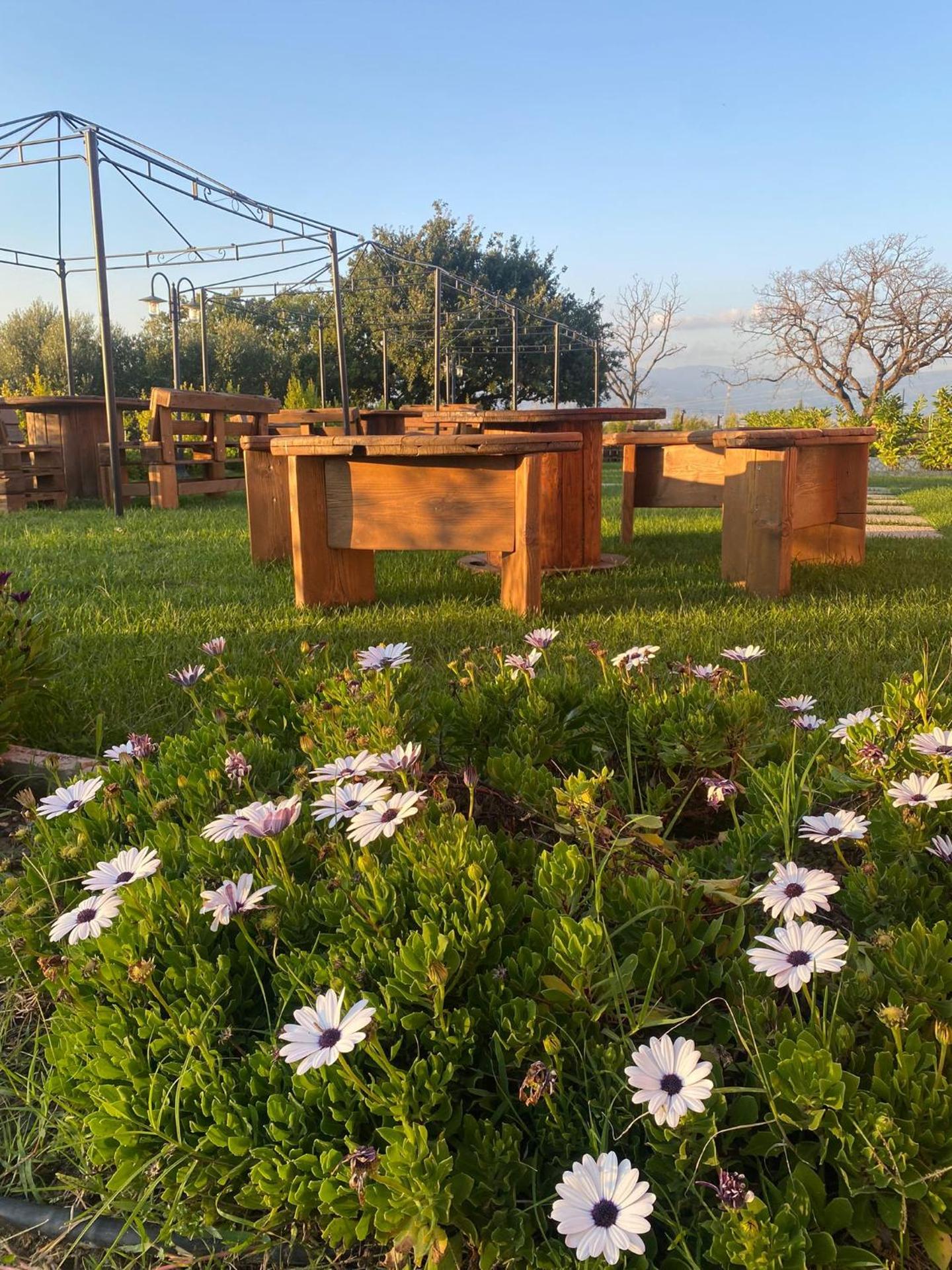 Hostaria delle Memorie