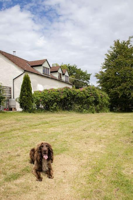 Batney Farm Cottage, Meshaw, South Molton