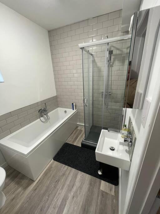 Terry’s yard, southville, Bristol