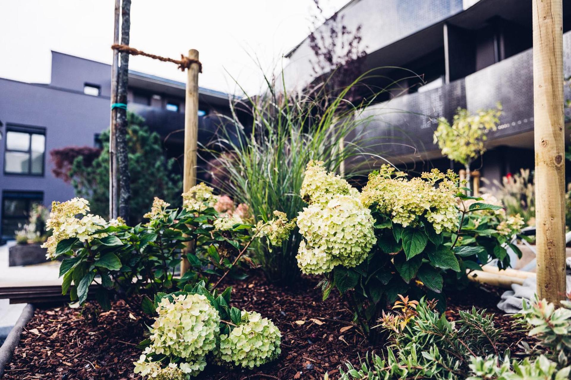 Alp Living Apartments Self-Check In