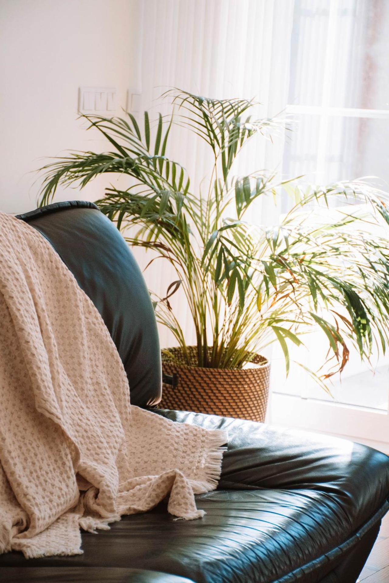 Just Like Home - Casinha da Vila em Caminha