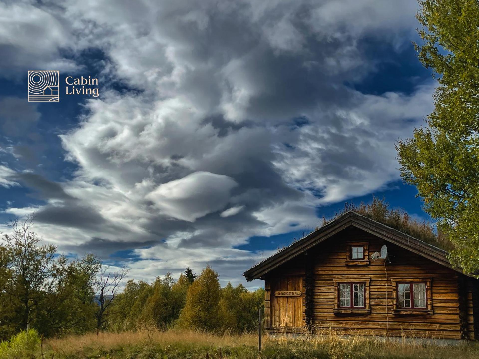 Cozy cabin at Beitostølen with sauna, hot tub & fireplace