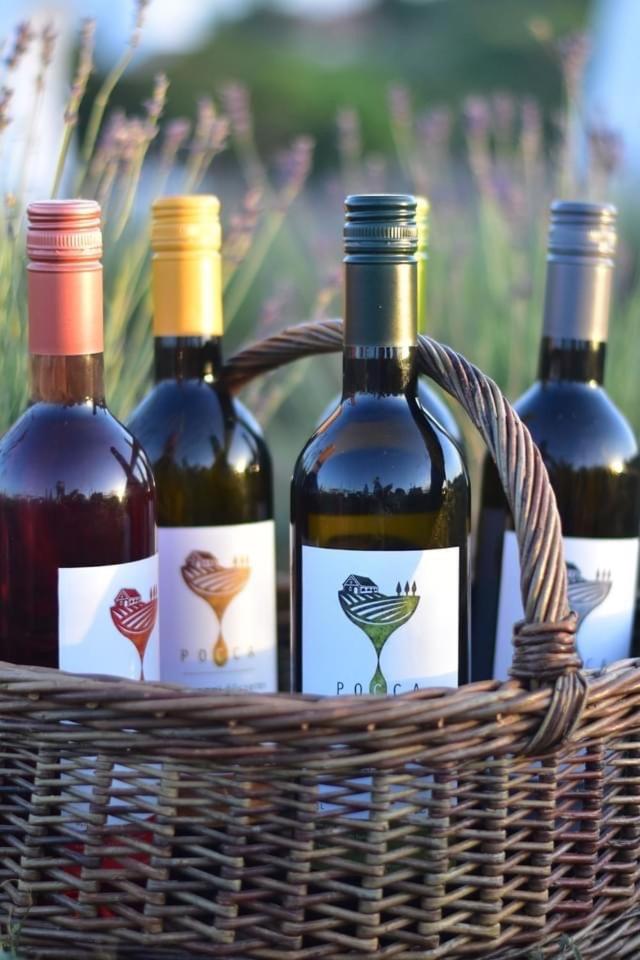 Luxury Apartments in Balatonalmádi, Almádi Lux Apartman II - Crystal White