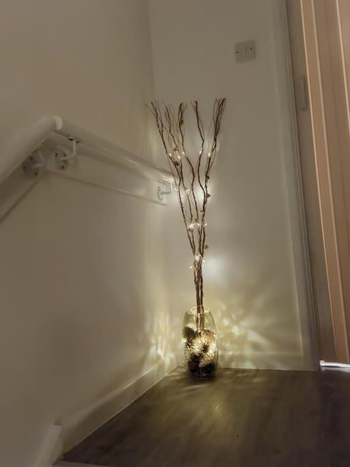 Comfortable 2 bedroom house in historic Exeter