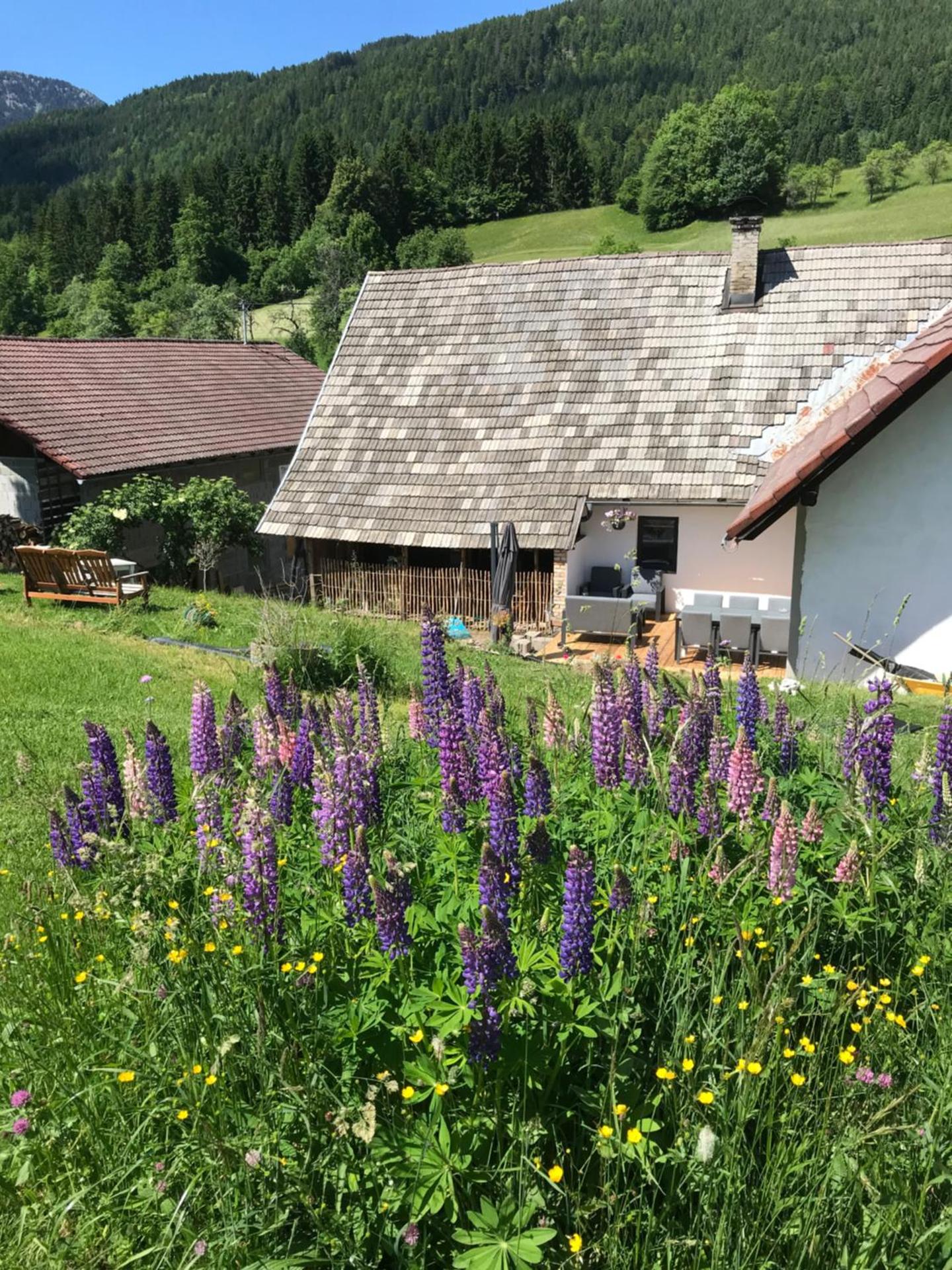 Haus Tilia Karinthië Appartementen
