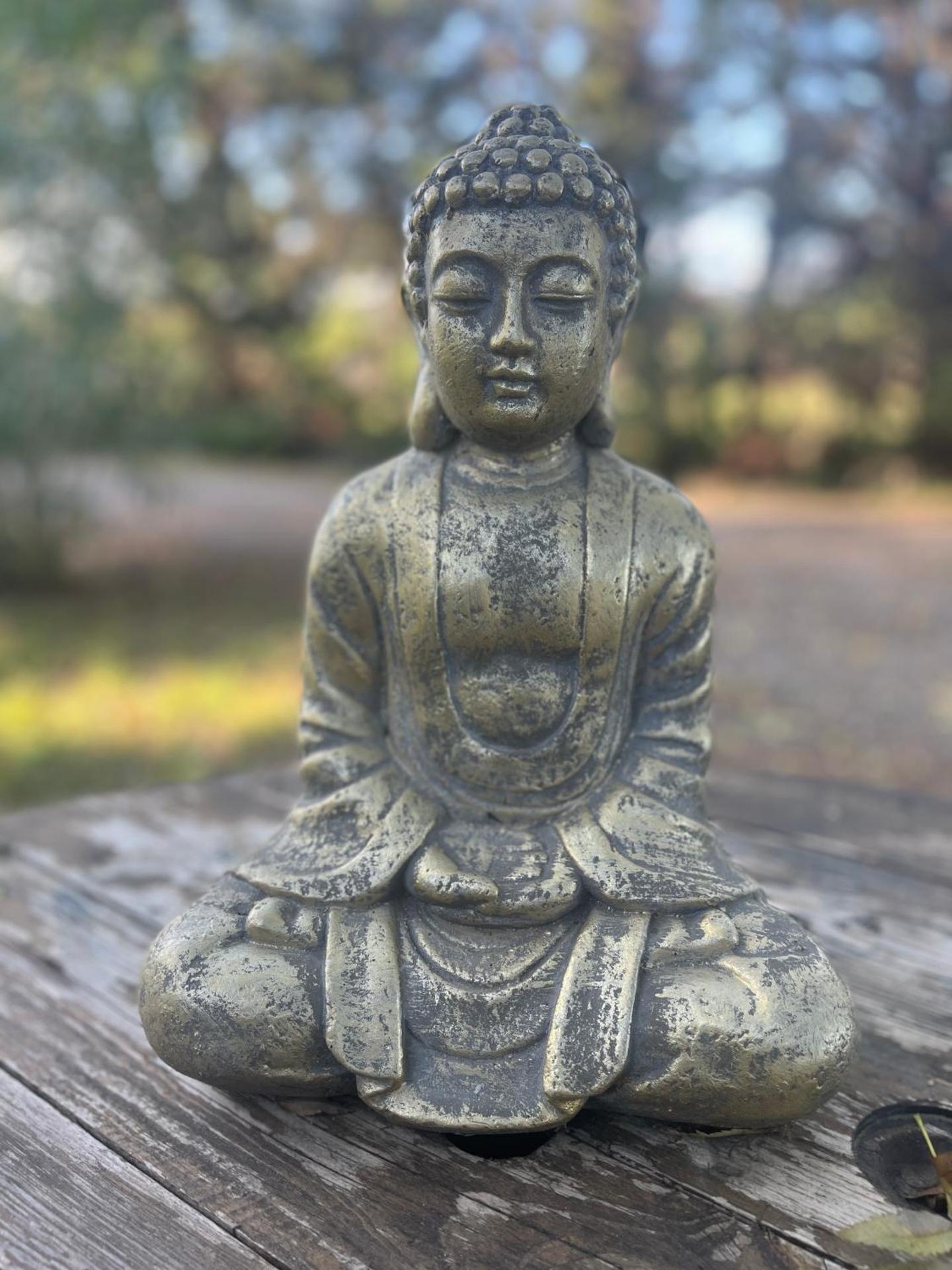 AUX PORTES DE LA CAMARGUE STUDIO BALNEO PISCINE