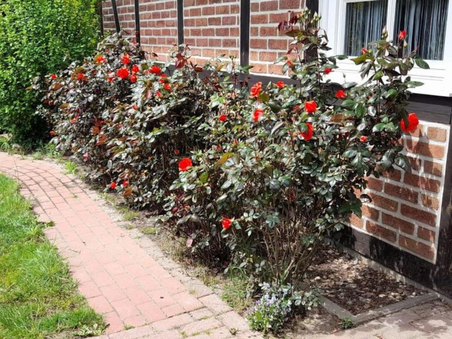 Ferienhaus Gartower See