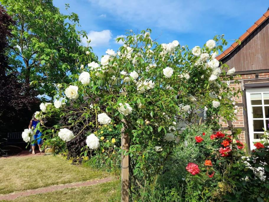 Ferienhaus Gartower See