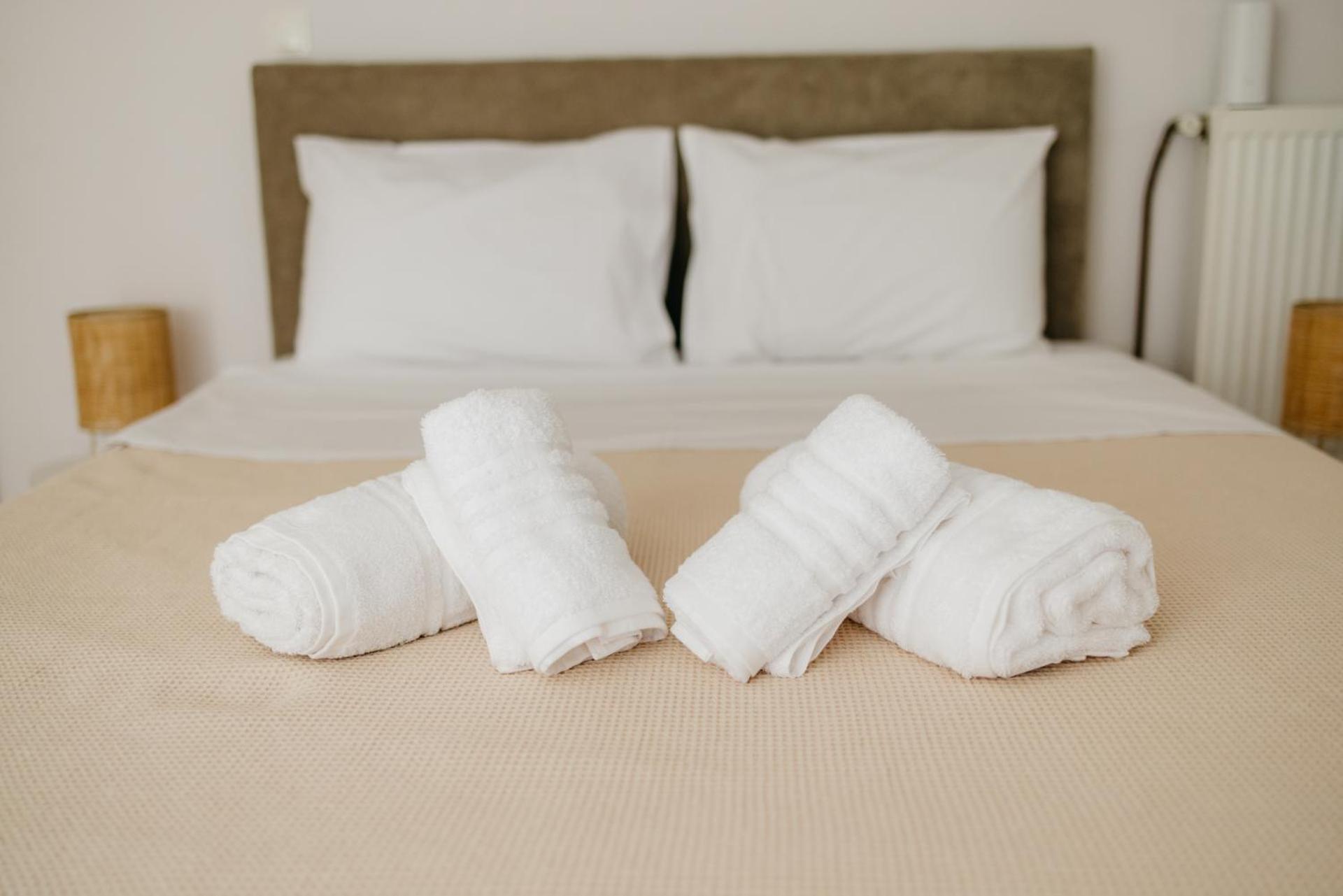 CACTUS - Blooming Garden Apartments