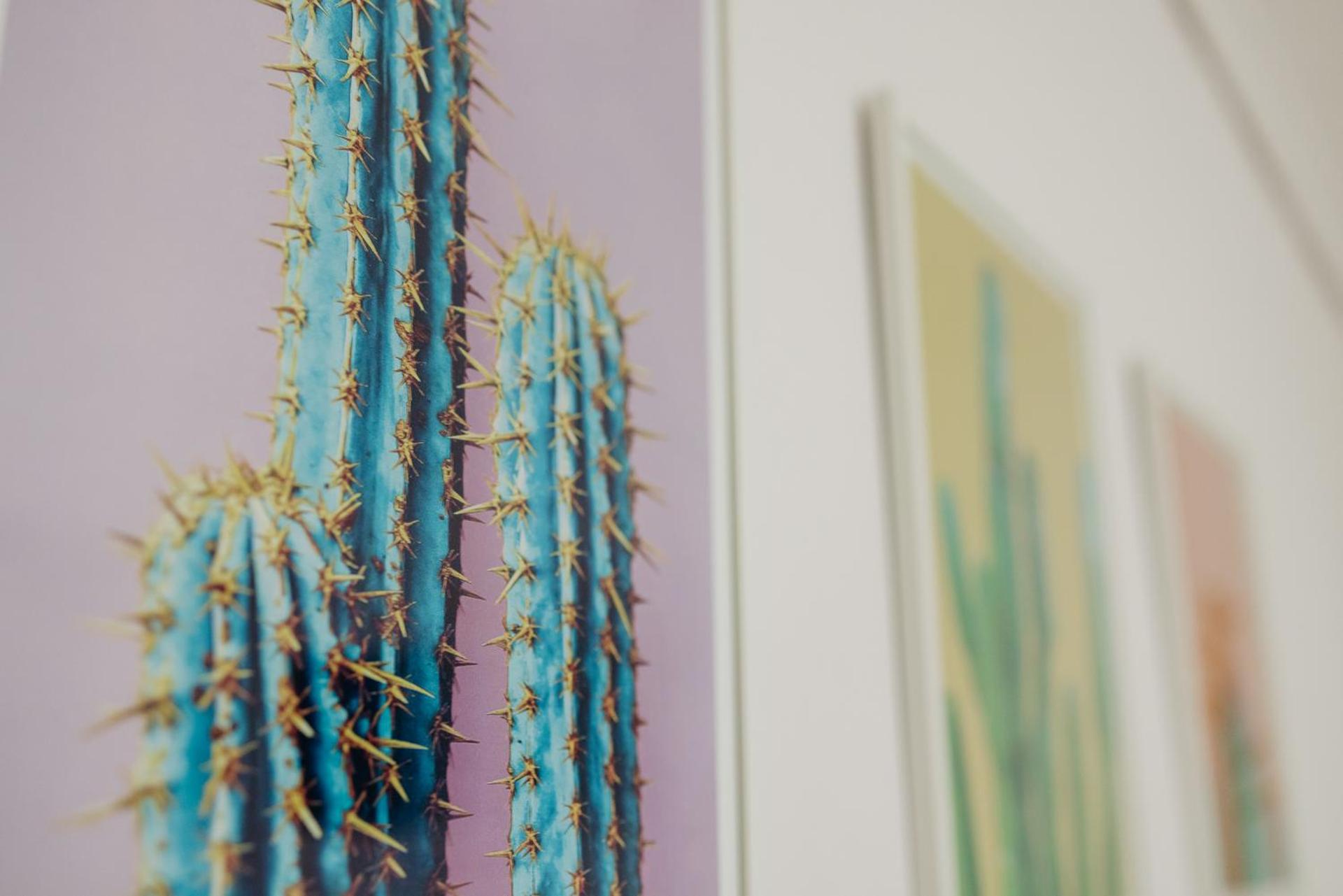 CACTUS - Blooming Garden Apartments