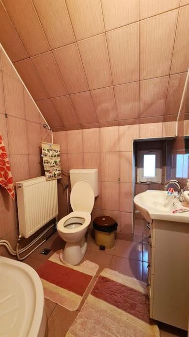 Casa de langa rau RUCAR