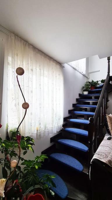 Casa de langa rau RUCAR