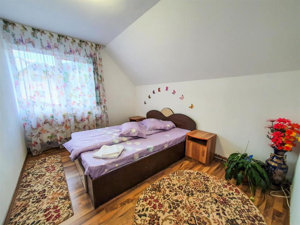 Casa de langa rau RUCAR