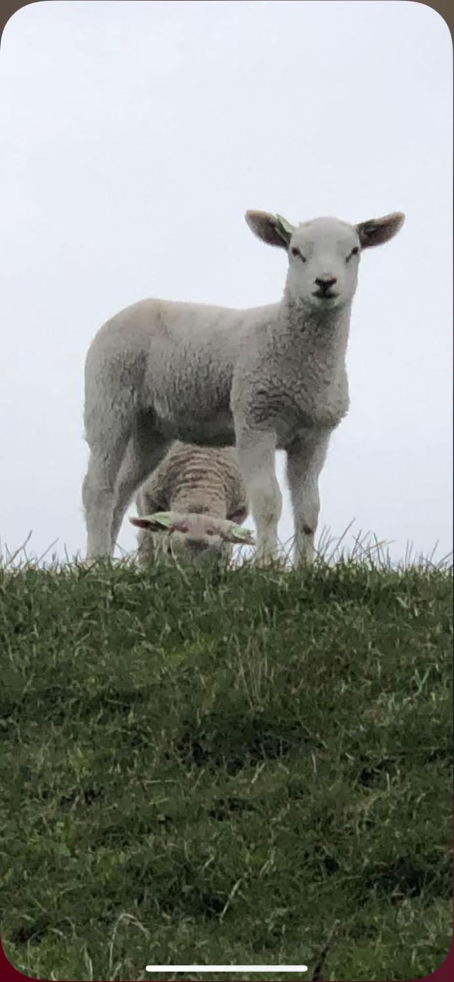 Gastenverblijf By ús thús