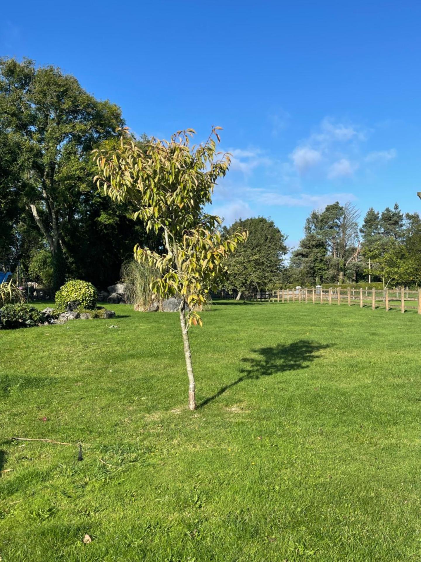 Cosy apartment with fire stove