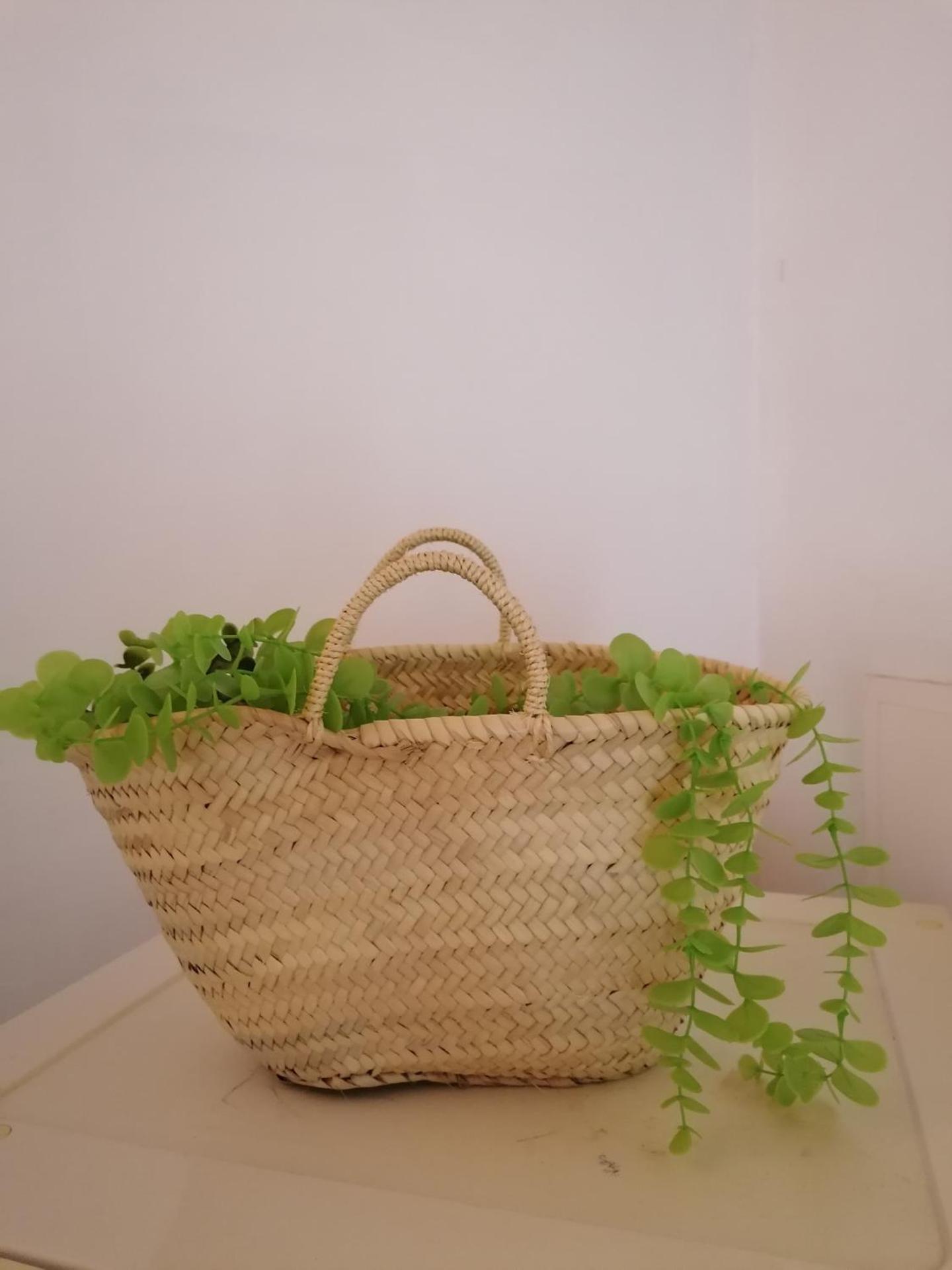 A casa da Carolina II