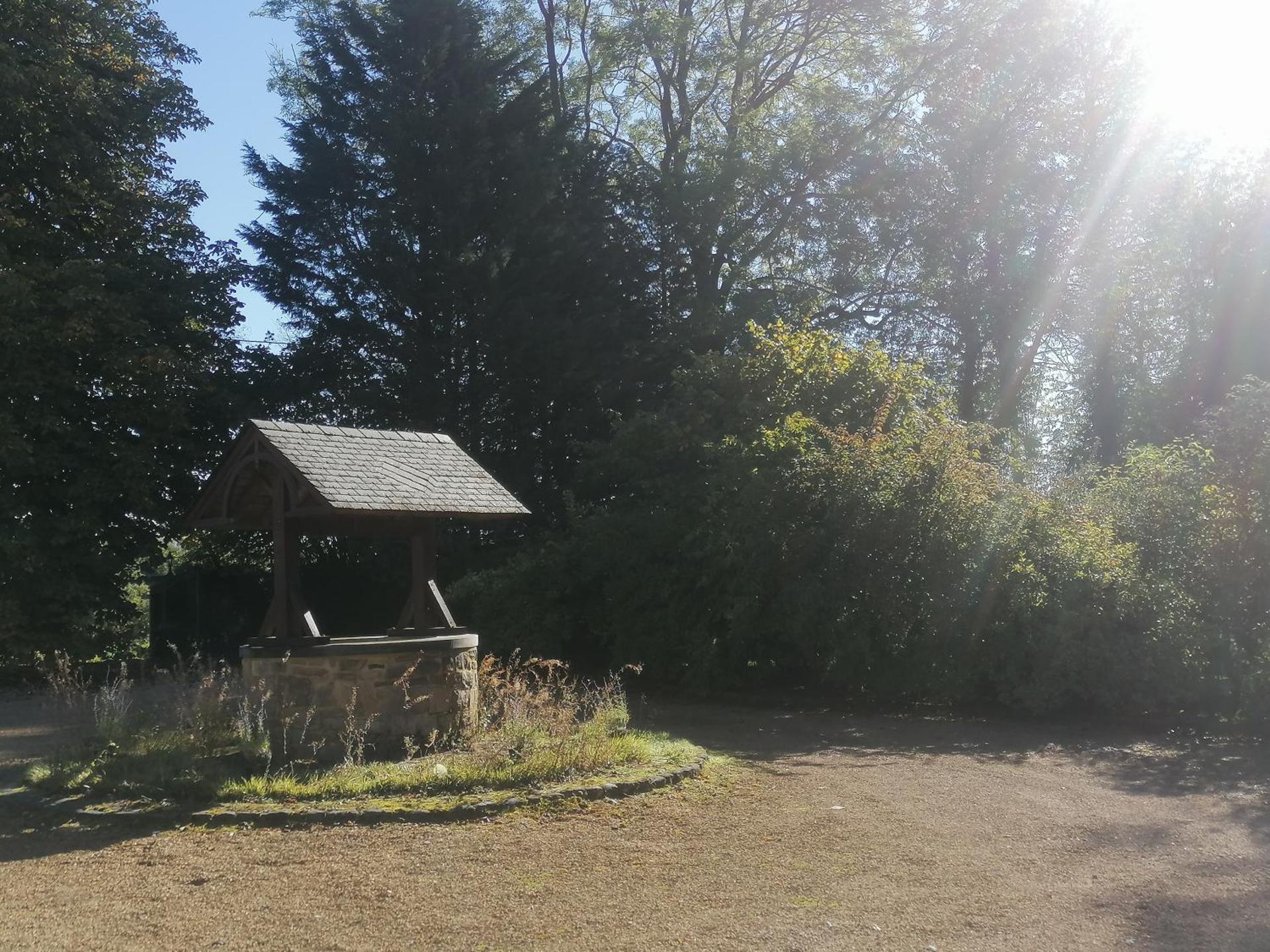 Au regard des biches