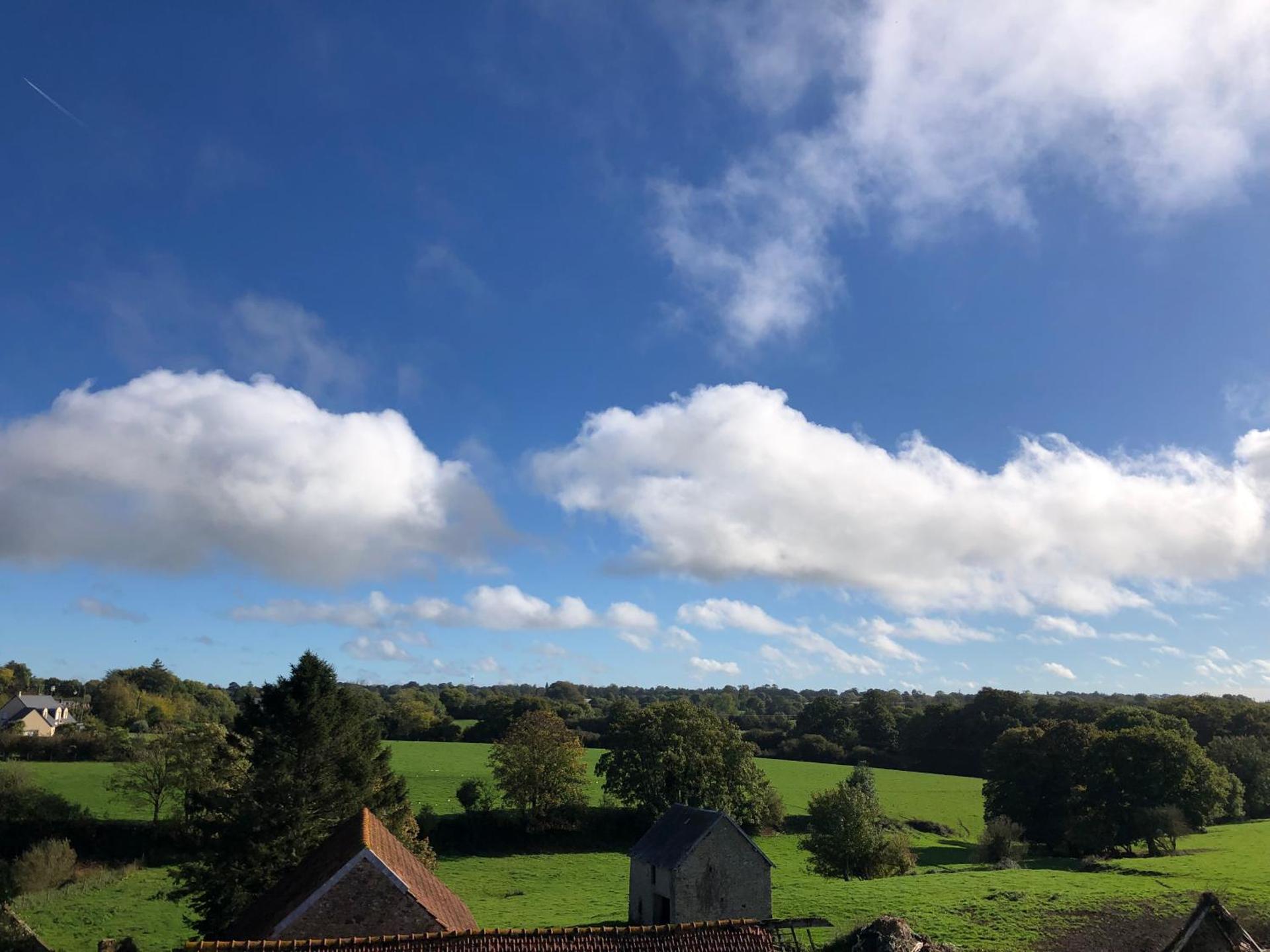 View (from property/room)