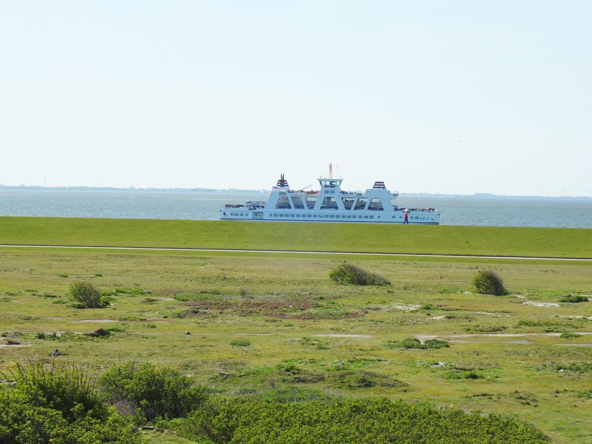 Ferienhaus Rosenboom Rosenboom 01