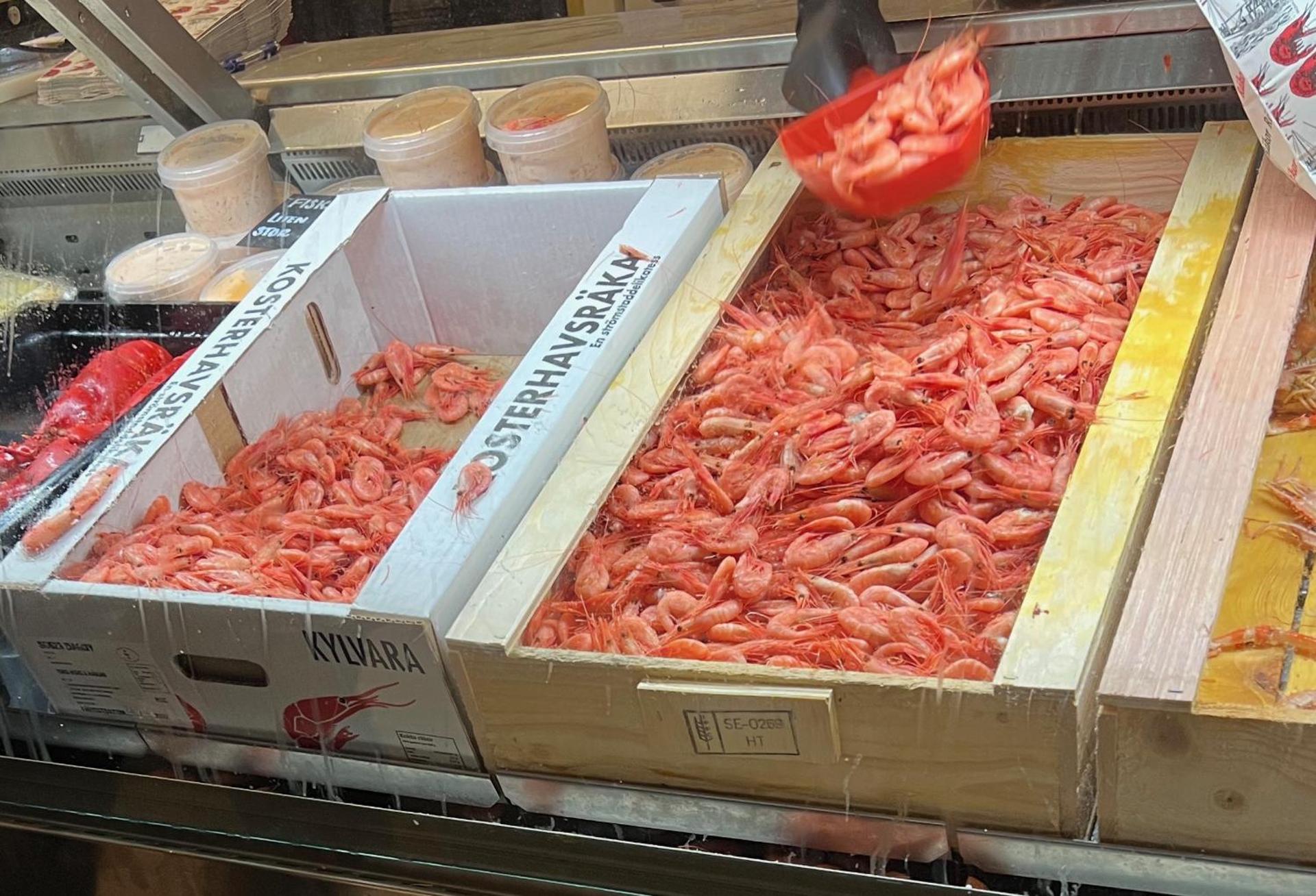 Strömstad lägenhet nära hav och stad