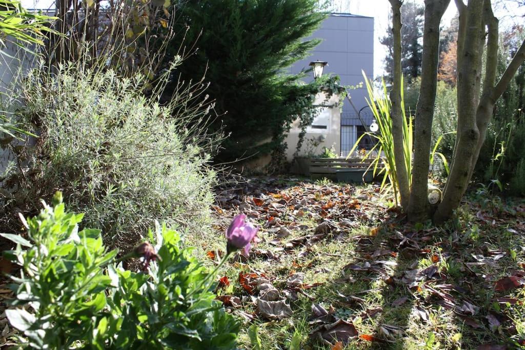 Superb Apt- Garden- 3 parkings, near Petite Venise !