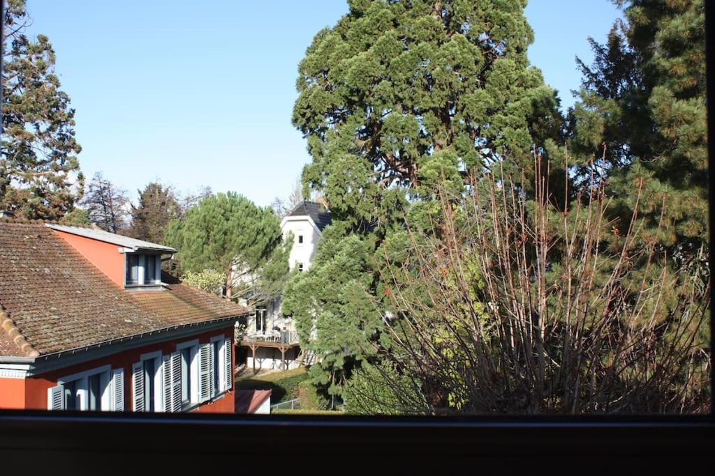 Superb Apt- Garden- 3 parkings, near Petite Venise !