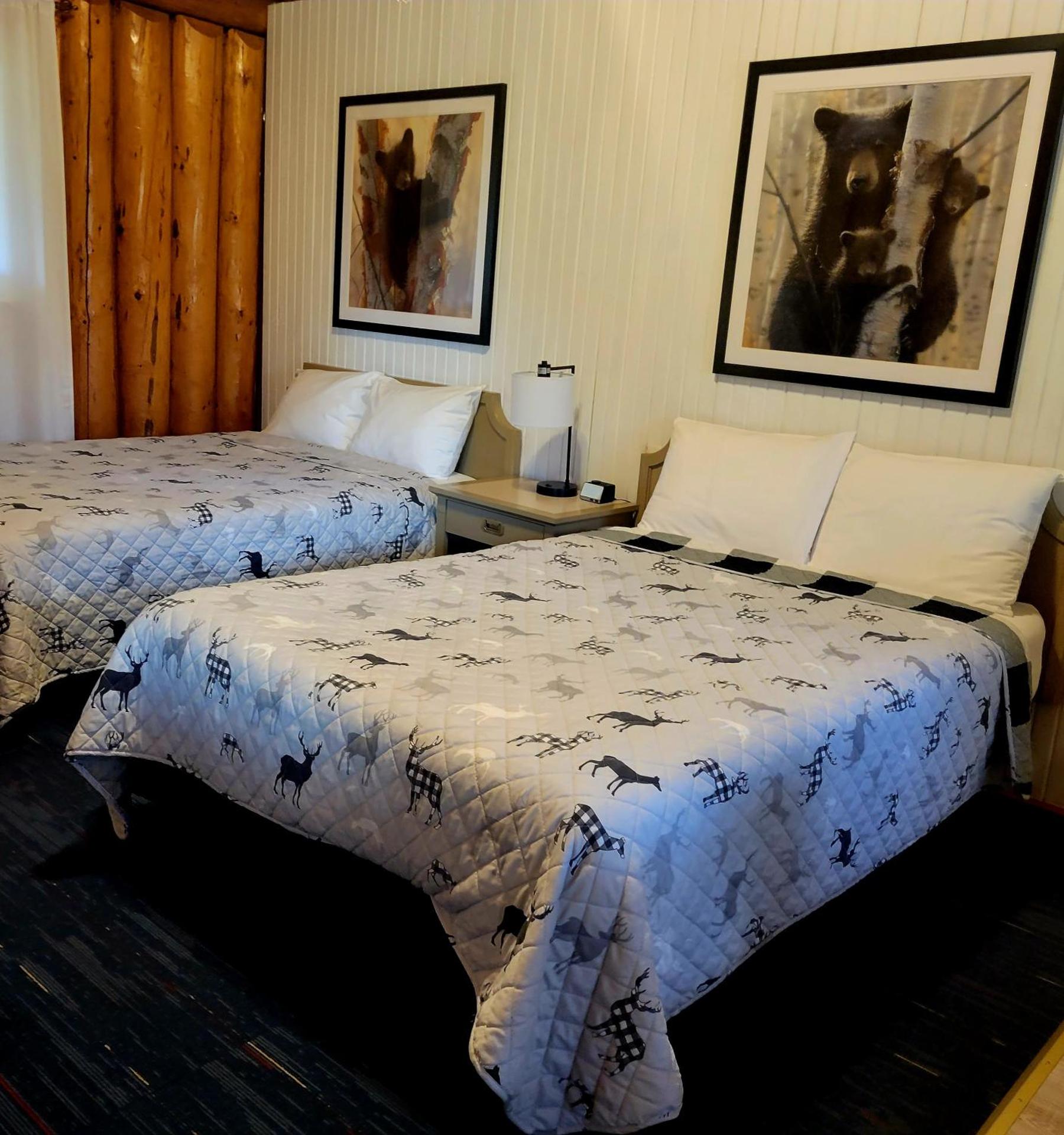 High Falls Motel & Cabins