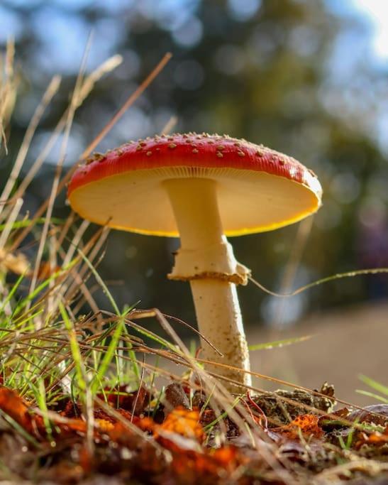 studio ' aan de Nieuwstraat ' Sint Annaland