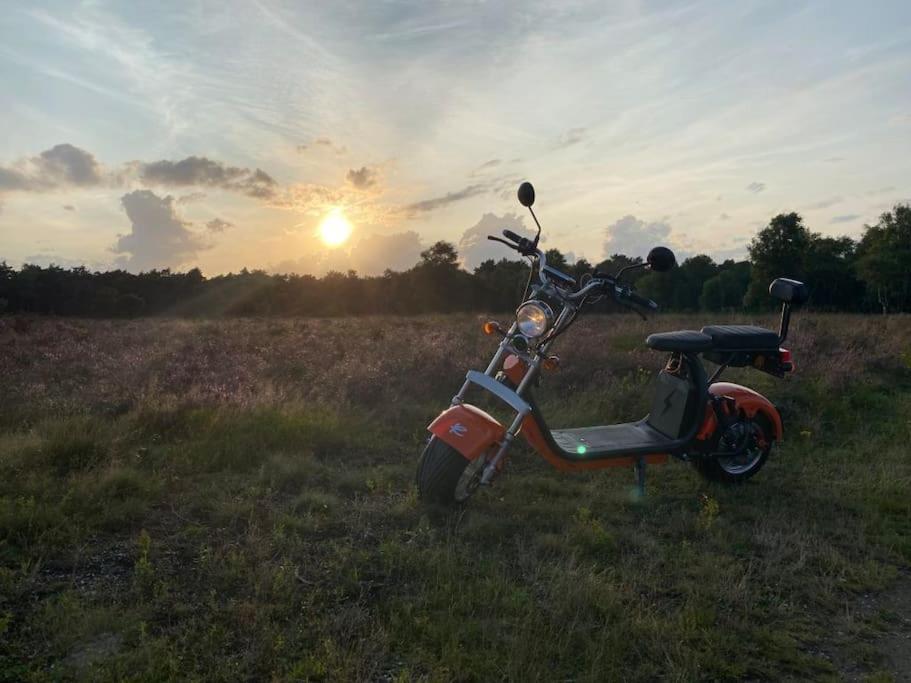 Delightful luxury 2-bedroom holiday home in nature