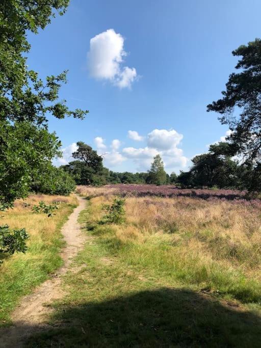 Delightful luxury 2-bedroom holiday home in nature