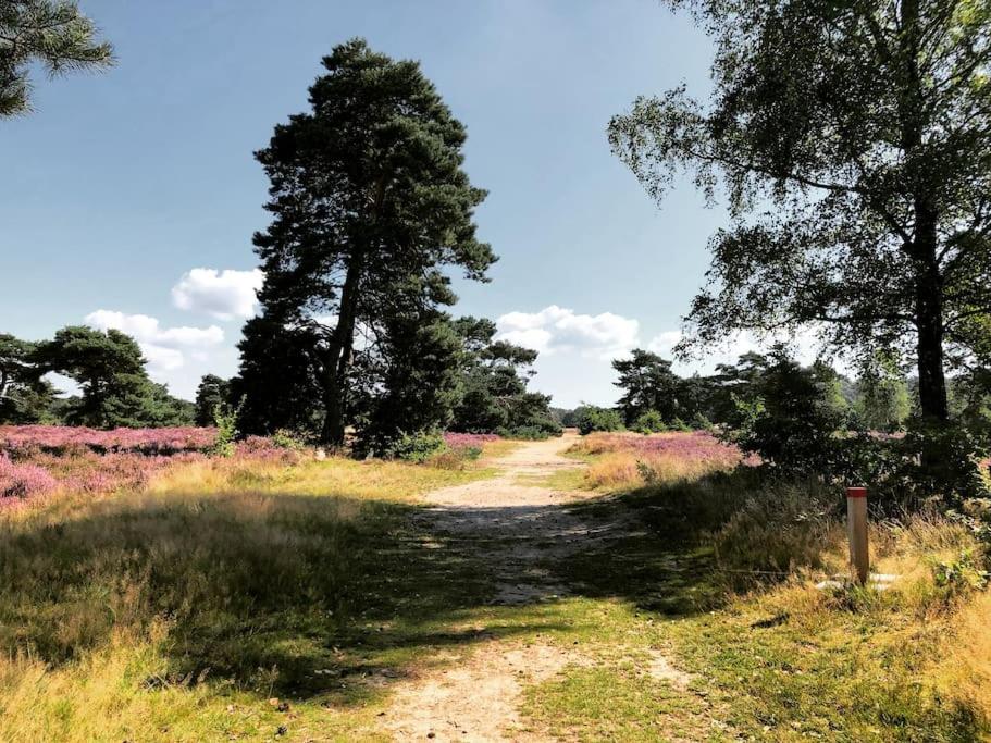 Delightful luxury 2-bedroom holiday home in nature
