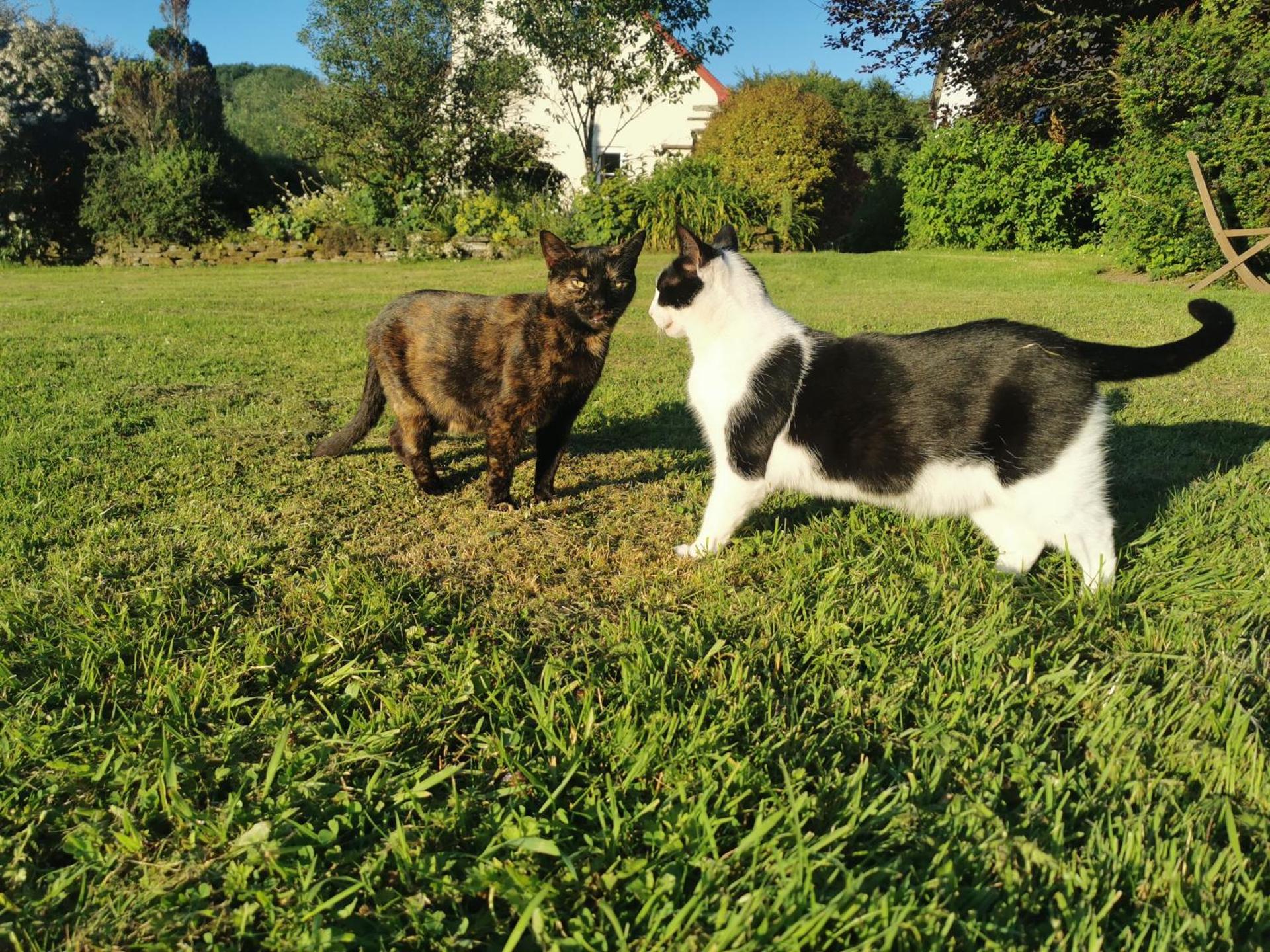 Wellstone Cottages - Honeysuckle
