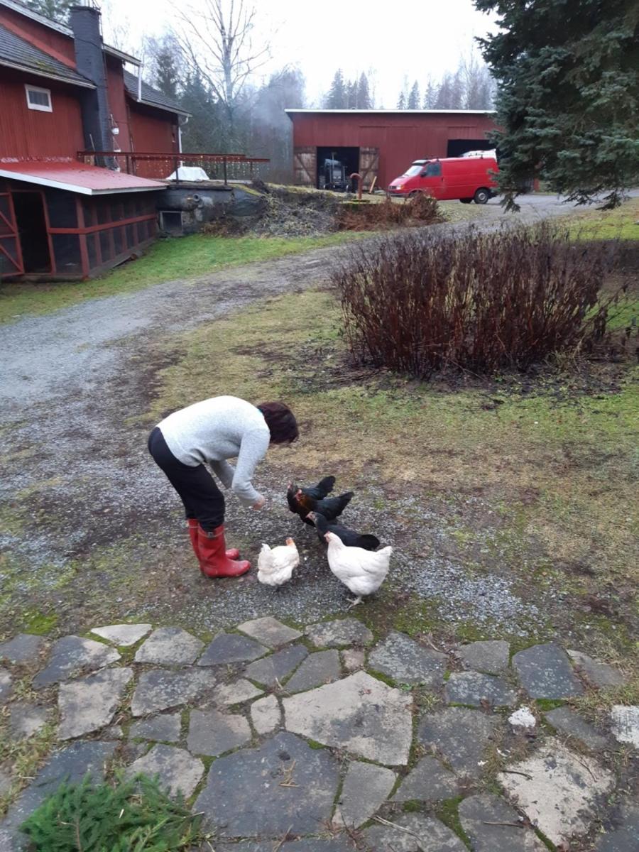 Narvan Maatilamajoitus Helenan Kanat ja Kammarit