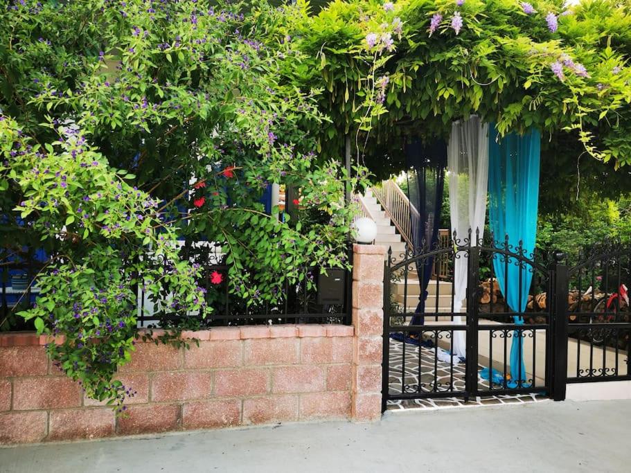 Artistic and Relaxing Experience