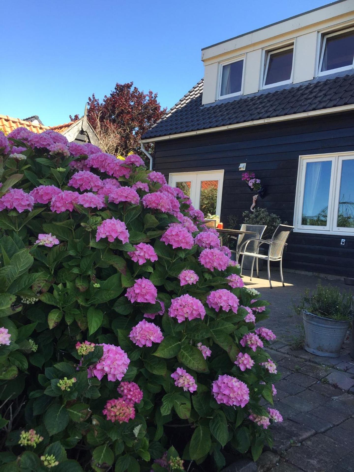 T Huuske tuinappartement met fantastisch uitzicht, nabij Zee