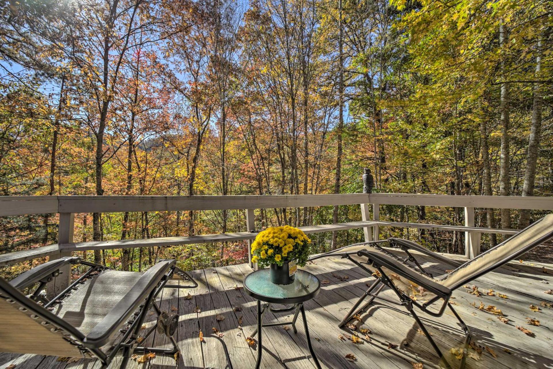 Pet-Friendly Cabin - 1 Mi From Fontana Lake!