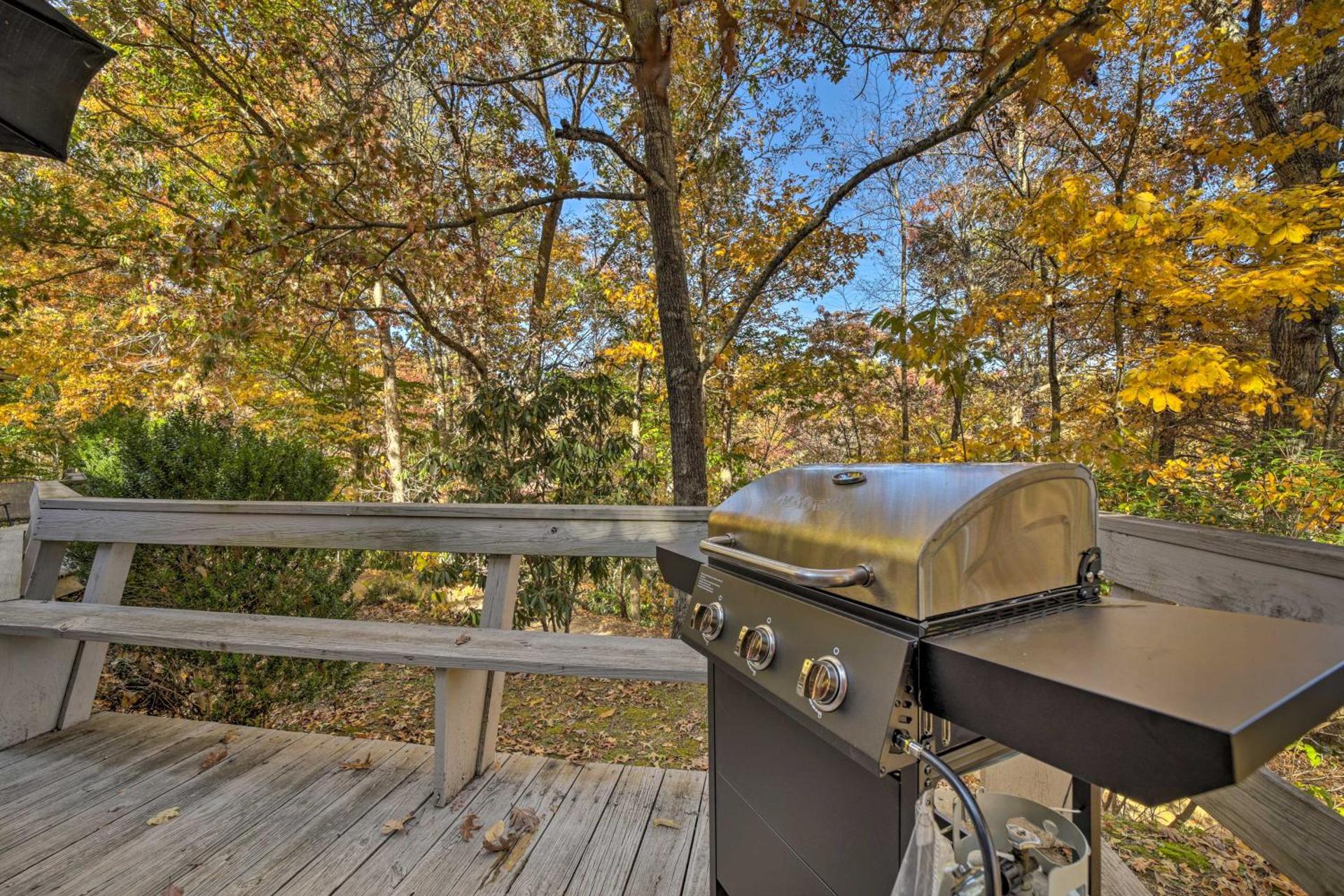 Pet-Friendly Cabin - 1 Mi From Fontana Lake!