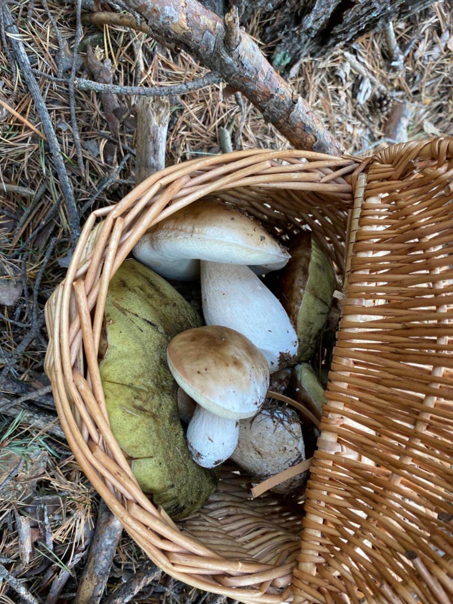 Mirador de Sallent - piso con vistas